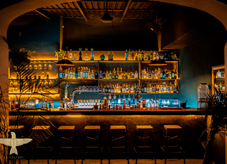  El Colibrí Bar Puerto Vallarta 