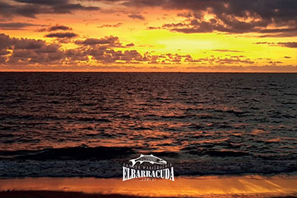   El Barracuda Restaurante & Beach Club  Puerto Vallarta 