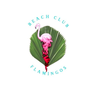Flamingos Beach Club  Puerto Vallarta
