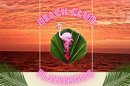  Flamingos Beach Club Puerto Vallarta