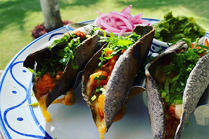  Sabal Playa Beach Club & Casual Dinning Puerto Vallarta 