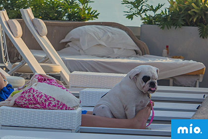 Hotel Mio Puerto Vallarta