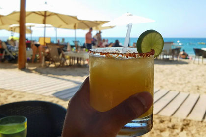 La Palapa