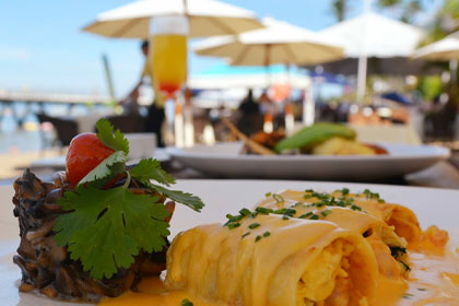 La Palapa